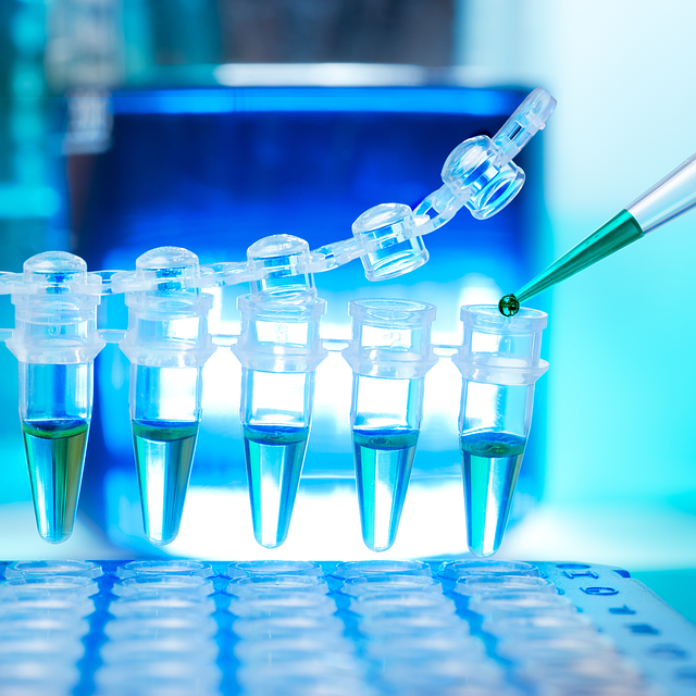 环保型聚氨酯金属羧酸盐催化剂，替代传统有机锡的升级选择