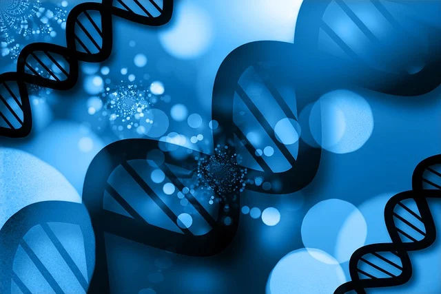 低气味反应型胺催化剂，通过共反应，消除催化剂残留和气味