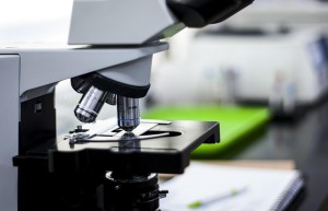 高温热敏聚氨酯催化剂，适用于单组份、潜伏型聚氨酯涂料和胶黏剂