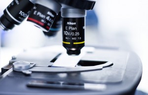 N,N-二甲基二丙基三胺 DMAPAPA CAS No:10563-29-8，确保聚氨酯泡沫具有良好的尺寸稳定性和回弹性