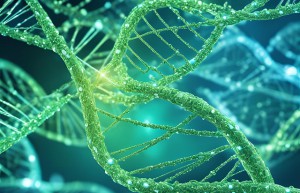 慢回弹温感聚醚，赋予海绵优异的压力感应和均匀支撑性能