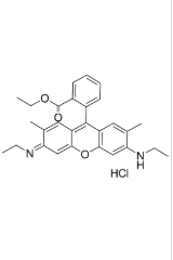 罗丹明6g