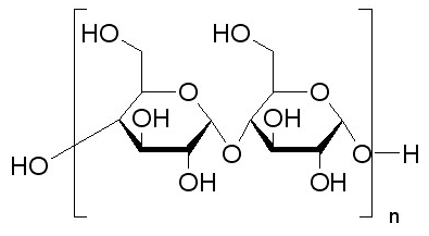 玉米淀粉
